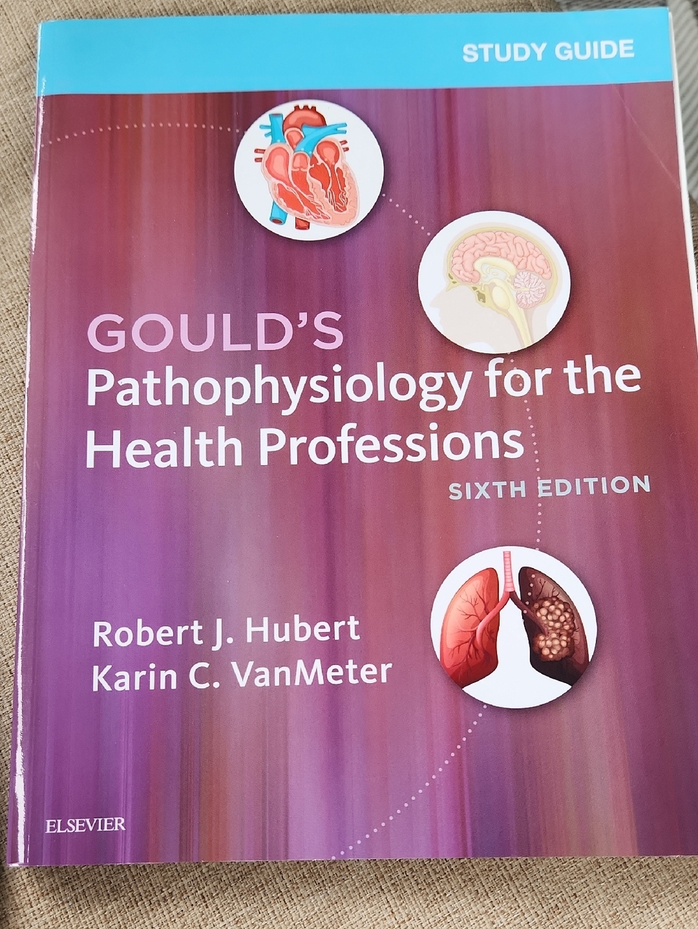 Gould's Pathophysiology for the Health Professions - Purple Study Guide